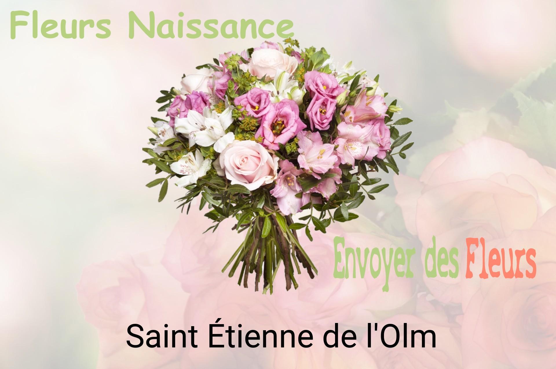Bouquet de fleurs de naissance livré à Saint-Étienne-de-l'Olm